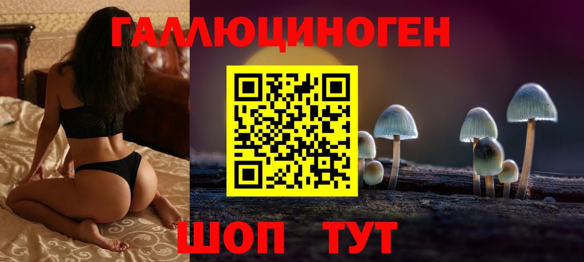 Протвино  хочу   Вход с VPN  Псилоцибиновые грибы GOLDEN TEACHER 